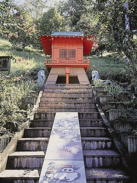 スポットの写真