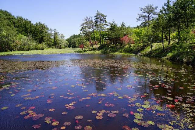 スポットの写真