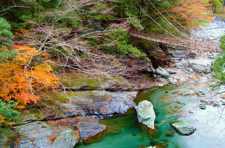 かずら橋周辺の紅葉