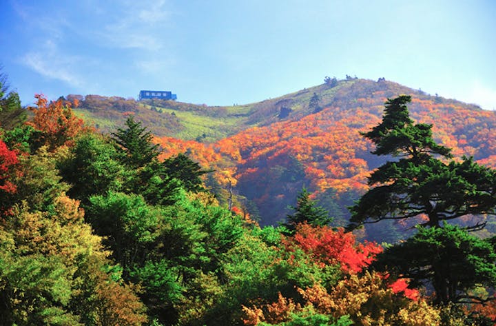 剣山の紅葉