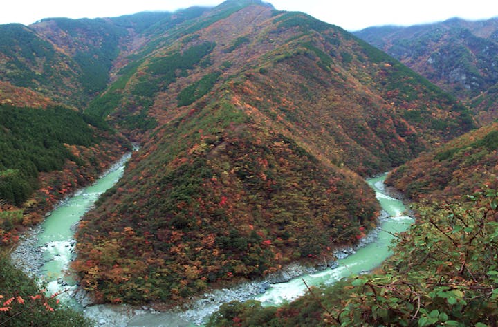 祖谷渓の紅葉
