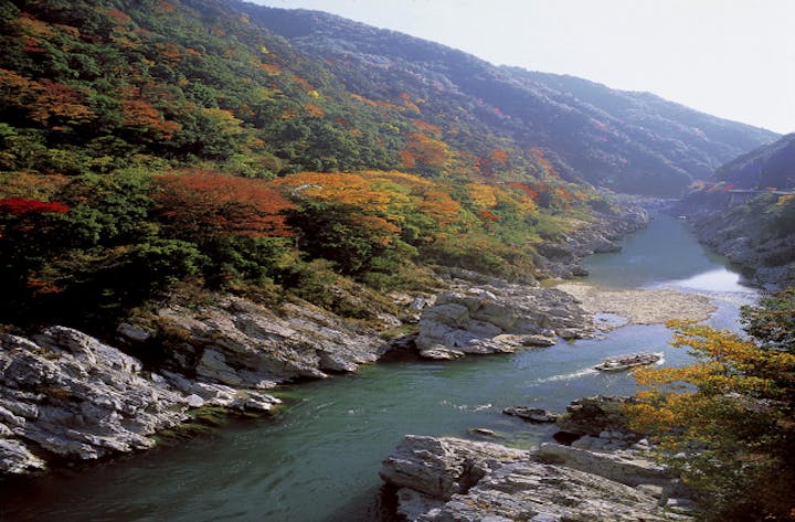 大歩危・小歩危の紅葉