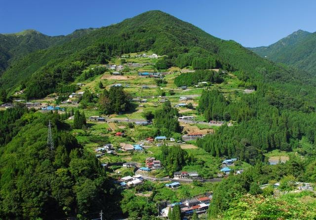 スポットの写真