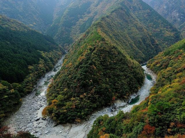 スポットの写真