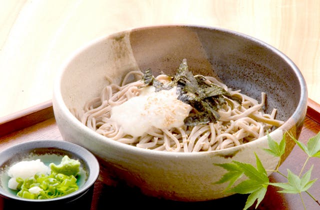 スポットの写真