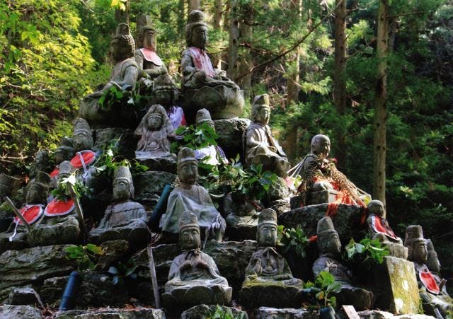 スポットの写真