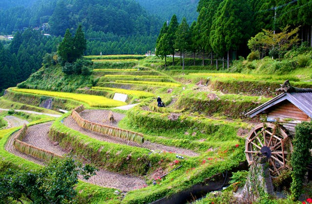 スポットの写真