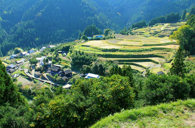 スポットの写真