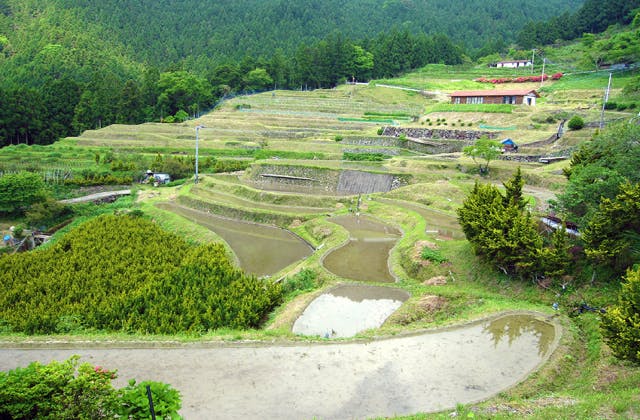 スポットの写真