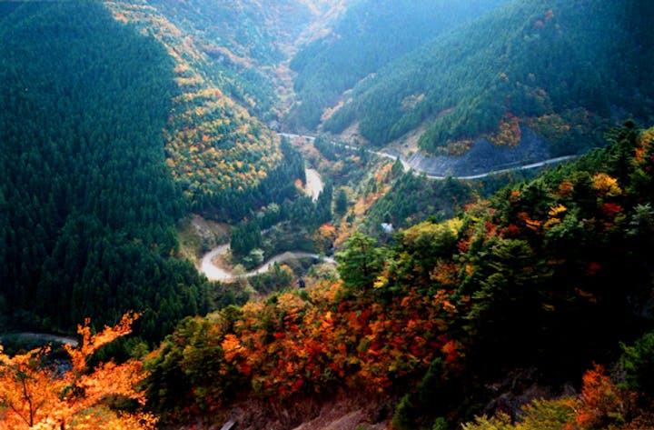 剣山スーパー林道