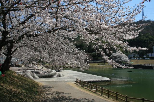 スポットの写真