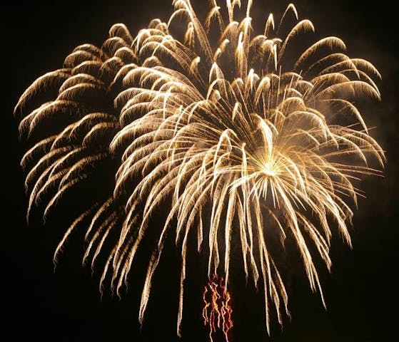 21年は花火のみ 石井町納涼夏祭り アソビュー