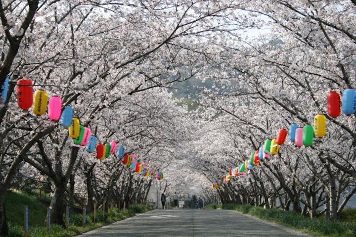 石井町桜まつり