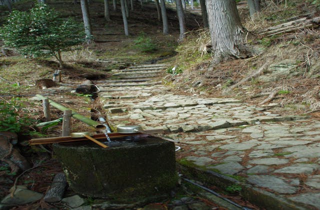 スポットの写真