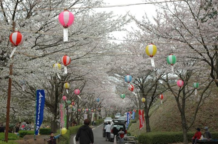 【2021年中止】神山森林公園イルローザの森さくら祭