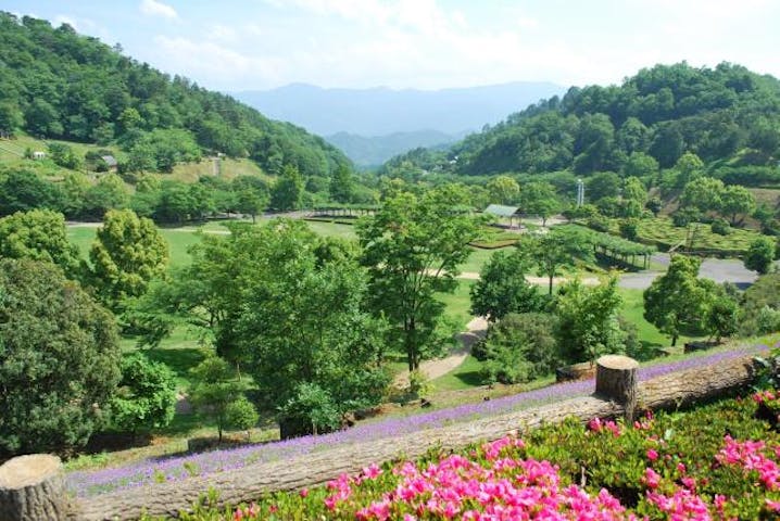 【中止】神山森林公園イルローザの森みどりの感謝祭