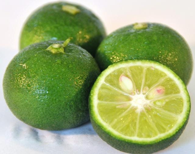 スポットの写真