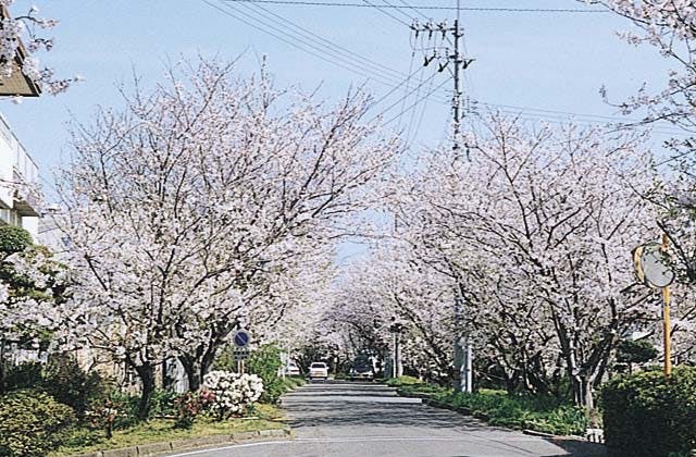 スポットの写真