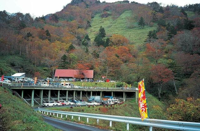 スポットの写真