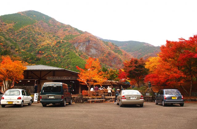 スポットの写真