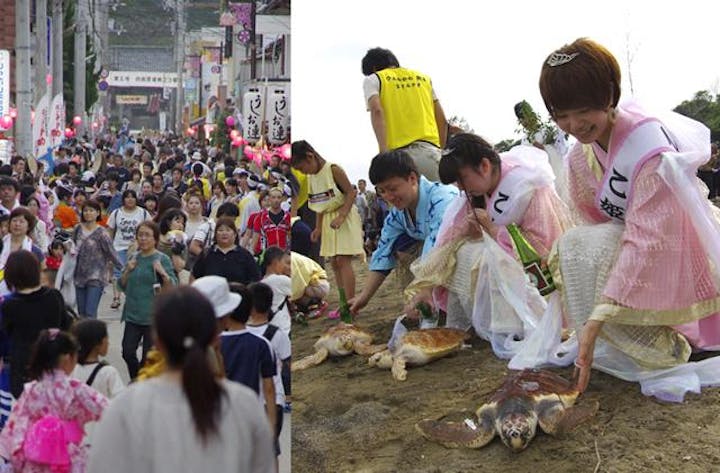 【2021年開催中止】日和佐うみがめまつり