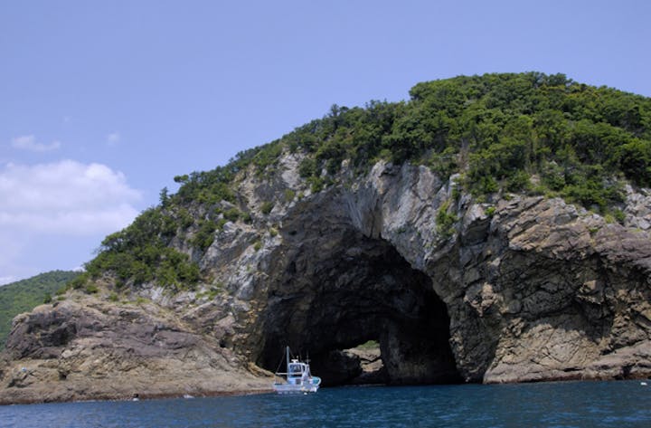 うみがめマリンクルーズ