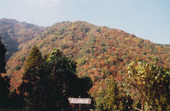 高越渓谷の紅葉