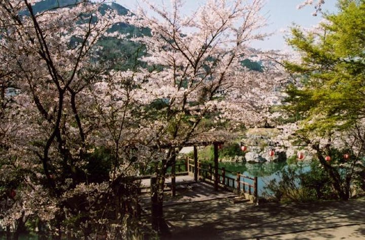 美濃田の淵キャンプ村（宿泊施設バンガロー・ログハウス）