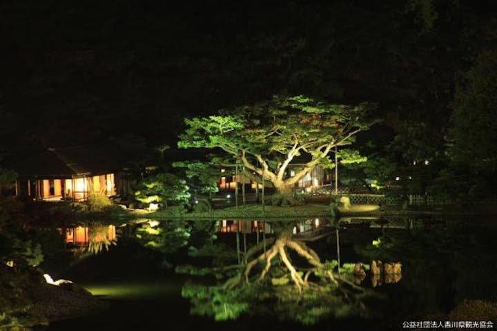 栗林公園の五葉松