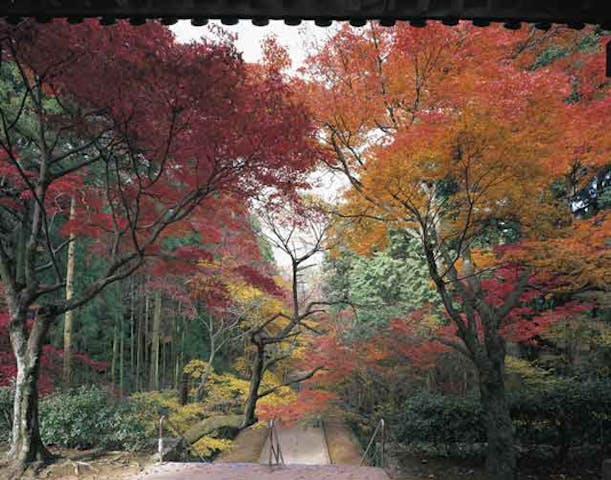 根香寺の紅葉