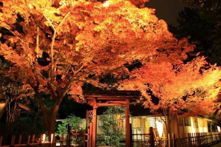 栗林公園の紅葉