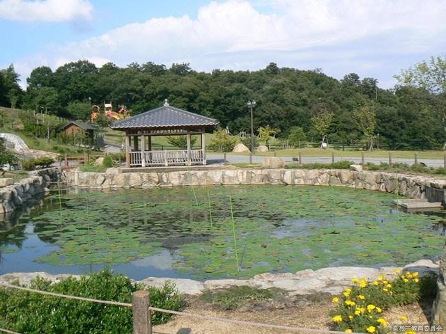 如意輪寺公園のオニバス