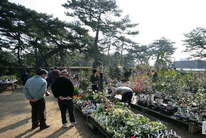 春の植木市（香川県高松市）