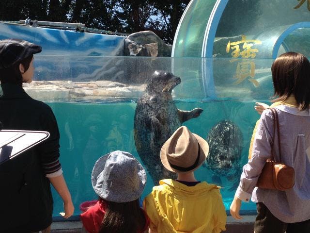 新屋島水族館 アソビュー