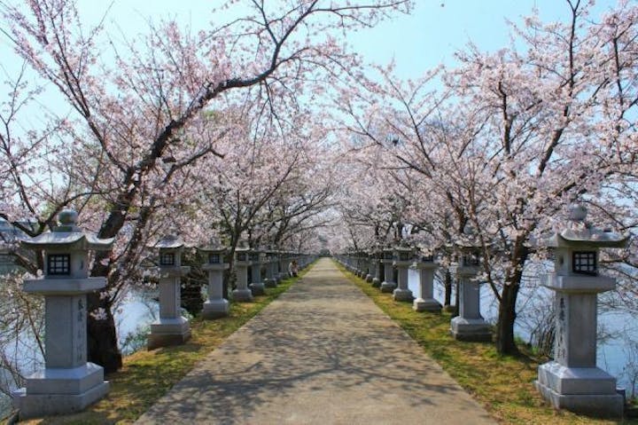 竜桜公園