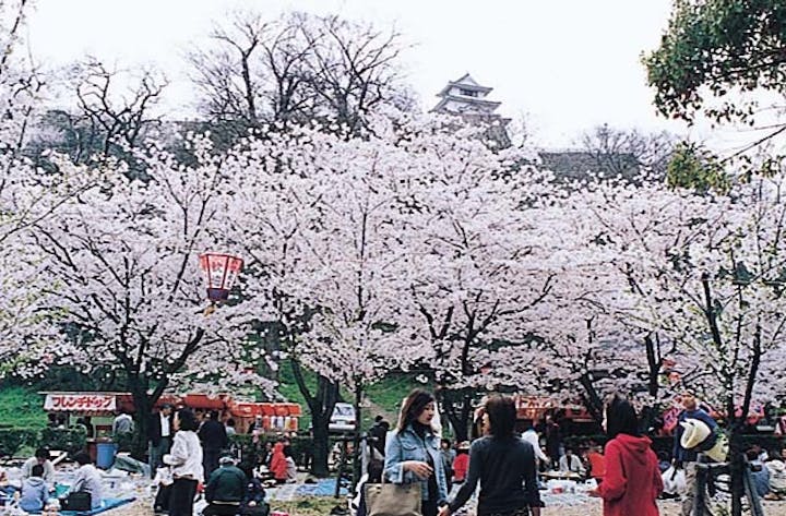 丸亀城桜まつり