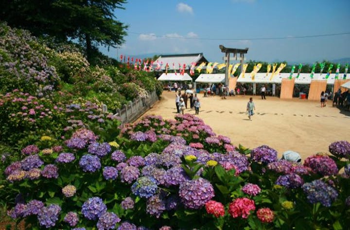 粟井あじさい祭り
