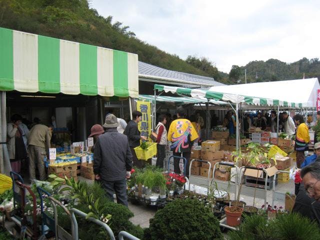 【2021年中止】道の駅　ながお　さくらまつり・もみじまつり