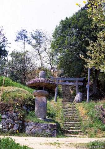 富田茶臼山古墳