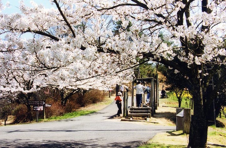 みろく自然公園