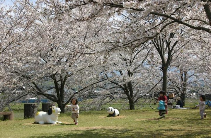 水辺公園・河川敷運動公園