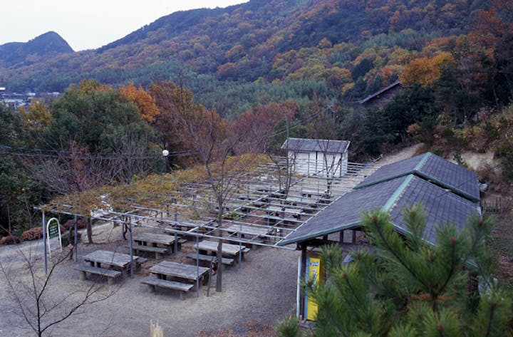 土庄町野外活動センターキャンプ場