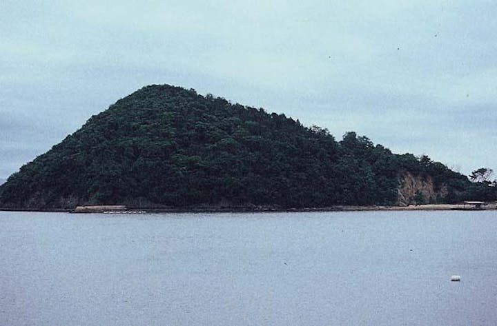皇子神社の社叢