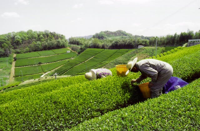 スポットの写真