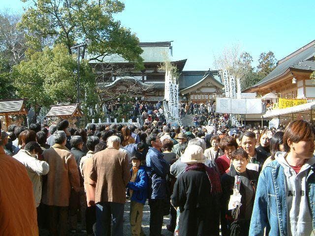 椿まつり（愛媛県松山市）