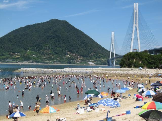 スポットの写真