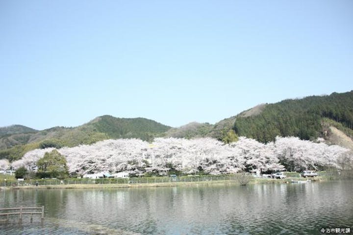 玉川湖