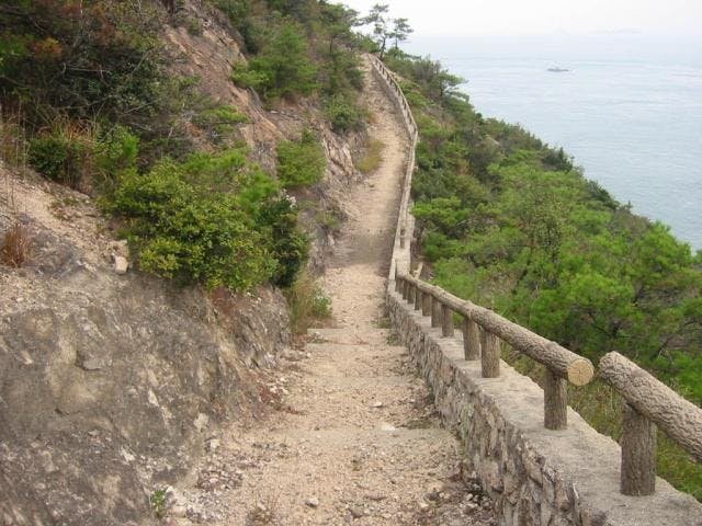 大島自然研究路