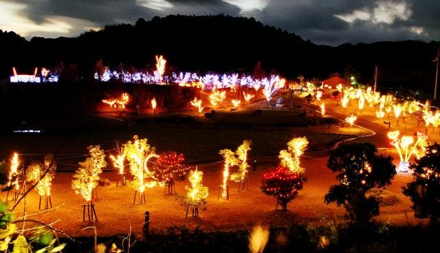 スポットの写真