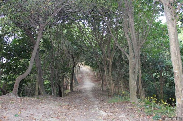 自然休養林「諏訪崎」遊歩道